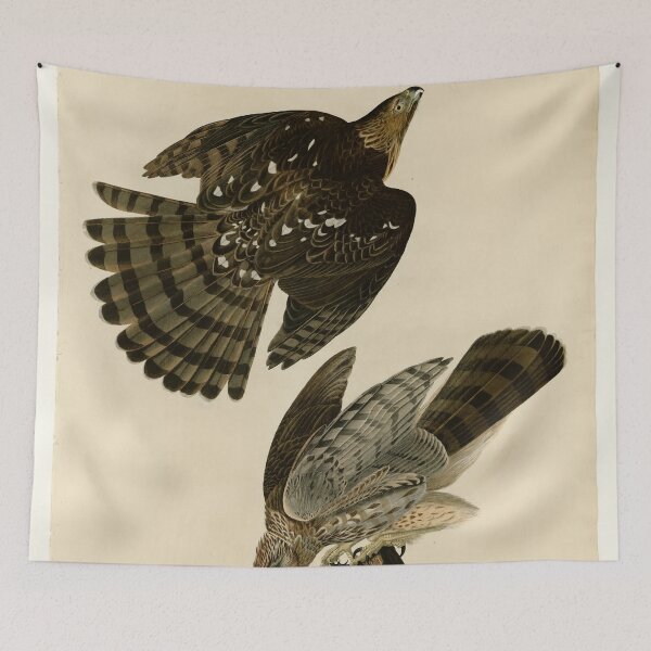 Item preview, 36 Stanley Hawk designed and sold by Bird-Lore.