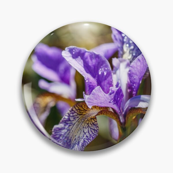 Item preview, Blue Siberian Iris  designed and sold by jillianbutolphphoto.