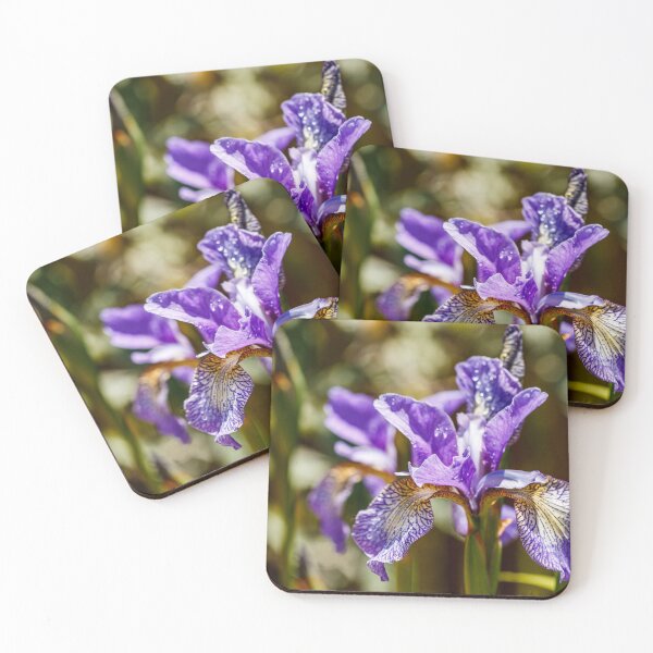 Item preview, Blue Siberian Iris  designed and sold by jillianbutolphphoto.