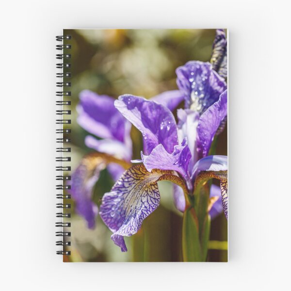 Item preview, Blue Siberian Iris  designed and sold by jillianbutolphphoto.