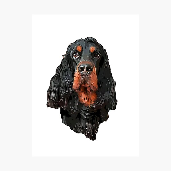 Gordon Setter Dog Wall Art Redbubble