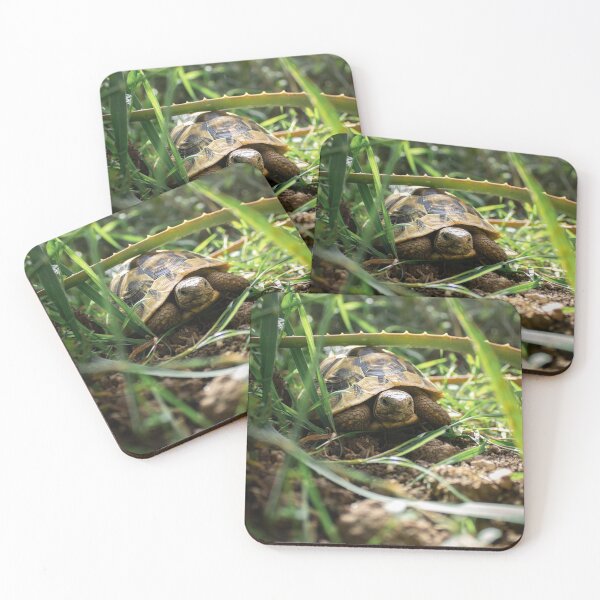 Item preview, Reptiles designed and sold by Hermes  Fernández.