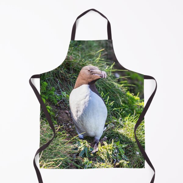 Item preview, Razorbill high on the cliffs of east Yorkshire designed and sold by grumpykeith.