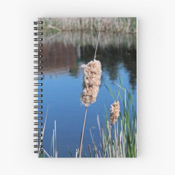Item preview, Cattail I- horizontal designed and sold by Michiale.