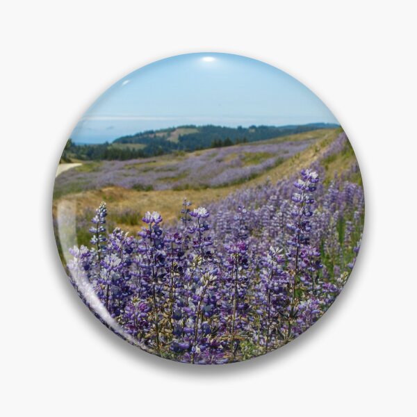 Item preview, Lupine blooming on the hills designed and sold by jillianbutolphphoto.