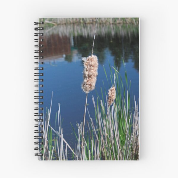 Item preview, Cattail II-vertical designed and sold by Michiale.