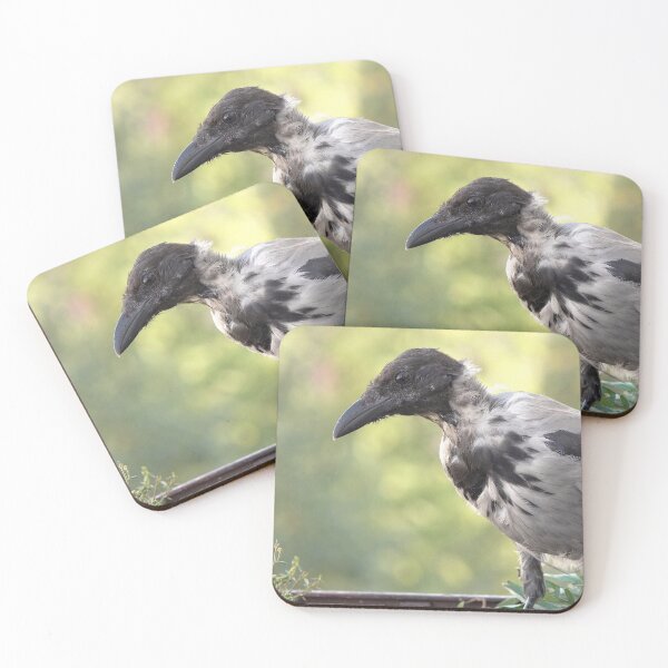 Item preview, Young bird designed and sold by Babbler01.