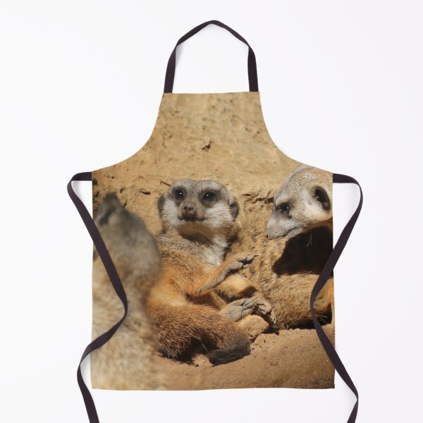 Item preview, Meerkat 002 designed and sold by JAMFoto.