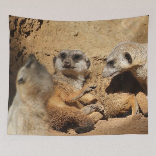 Item preview, Meerkat 002 designed and sold by JAMFoto.