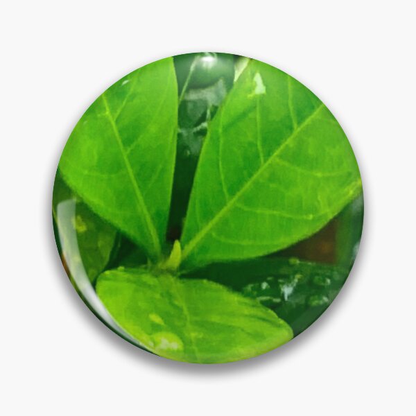 Item preview, Green leaf designed and sold by baksuart.