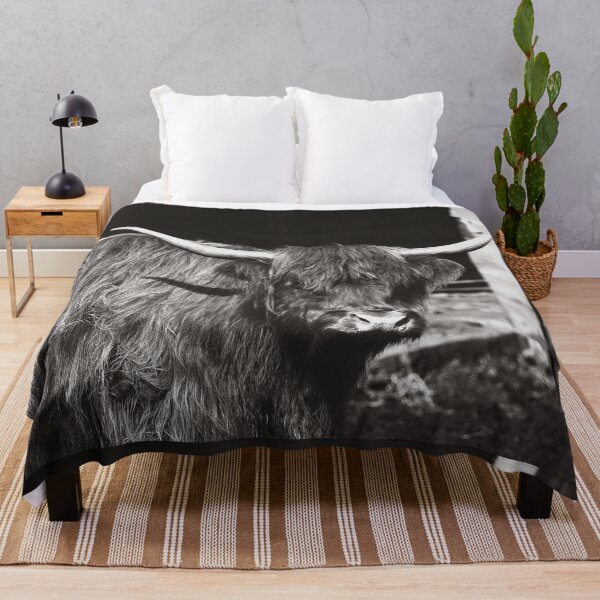 Item preview, Highland Cow designed and sold by Daniel Watts.