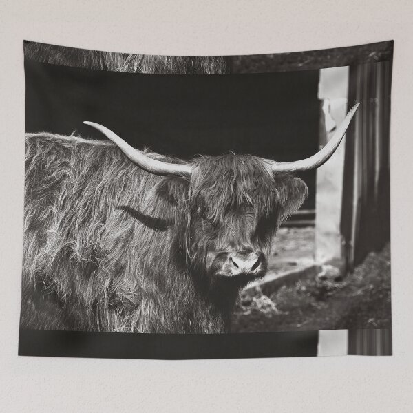 Item preview, Highland Cow designed and sold by Daniel Watts.