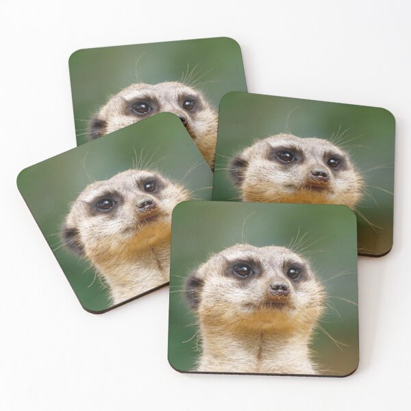 Item preview, Meerkat 005 designed and sold by JAMFoto.