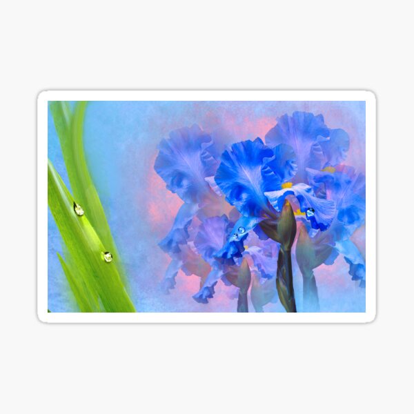 Item preview, Irises and Raindrops  designed and sold by Alisonchambers2.