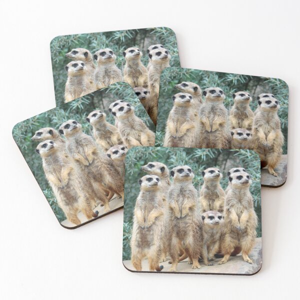 Item preview, Meerkat 006 designed and sold by JAMFoto.