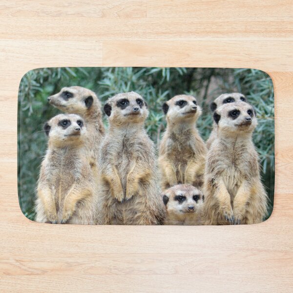 Item preview, Meerkat 006 designed and sold by JAMFoto.