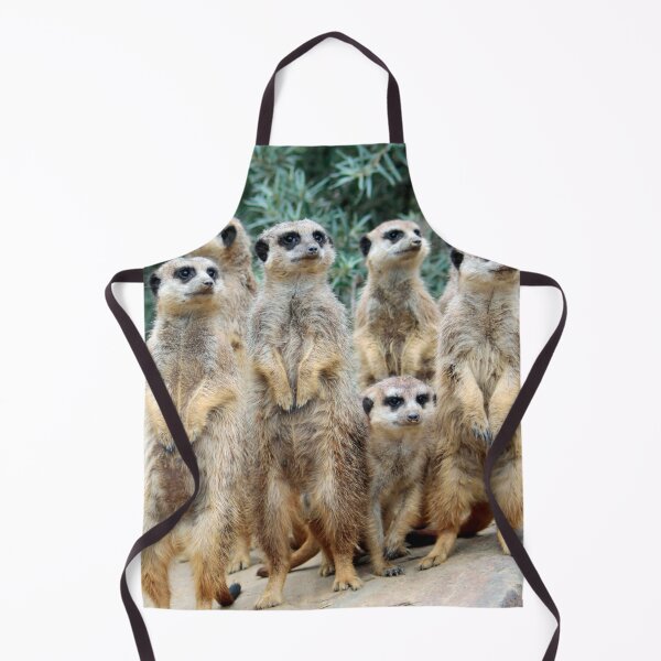 Item preview, Meerkat 006 designed and sold by JAMFoto.