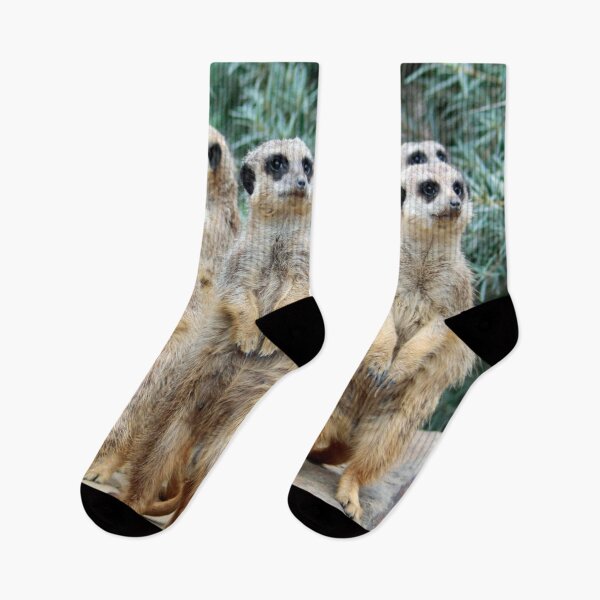 Item preview, Meerkat 006 designed and sold by JAMFoto.