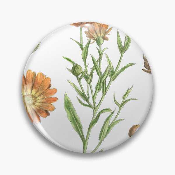 Item preview, Calendula officinalis designed and sold by Cladonia.