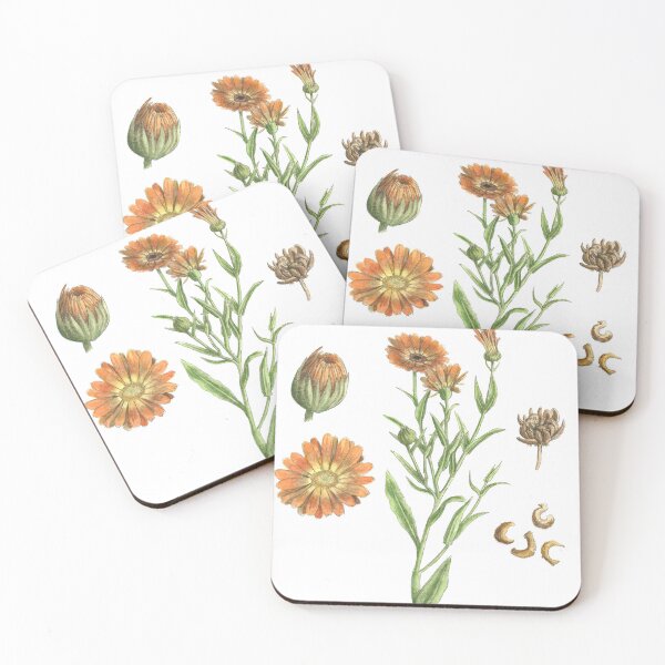 Item preview, Calendula officinalis designed and sold by Cladonia.