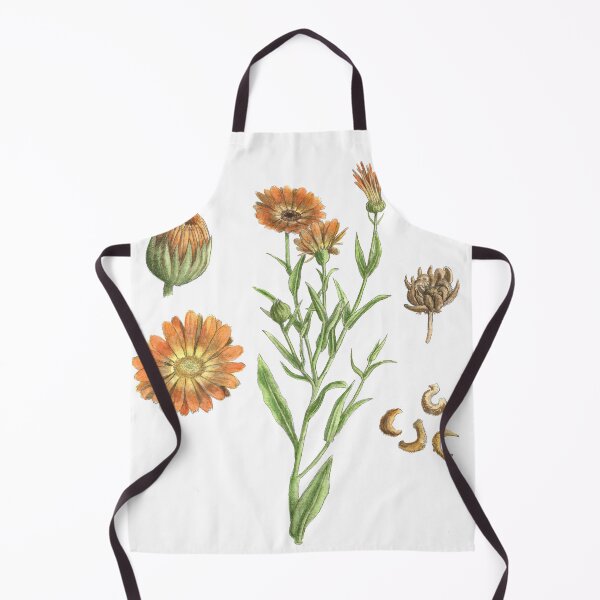 Item preview, Calendula officinalis designed and sold by Cladonia.
