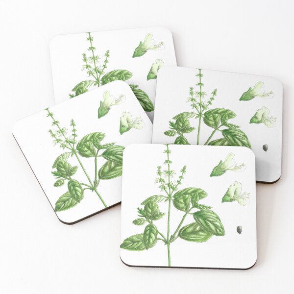 Item preview, Ocimum basilicum designed and sold by Cladonia.
