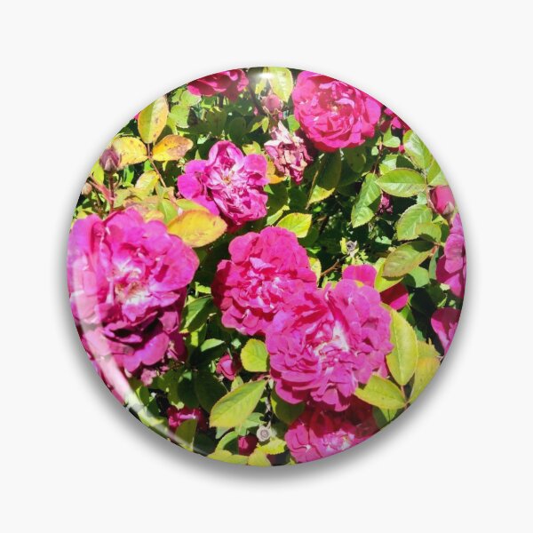 Item preview, Really Rosey designed and sold by TeaFairy Art.