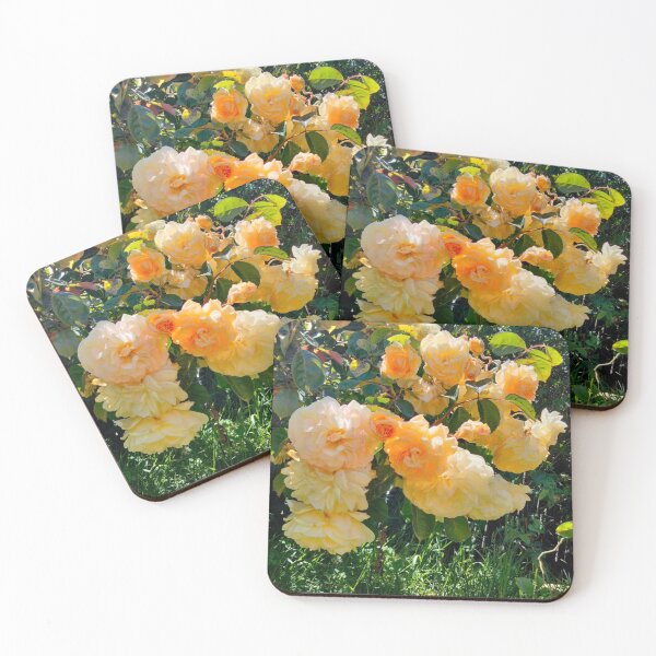 Item preview, Peaches and Cream Roses designed and sold by TeaFairy Art.