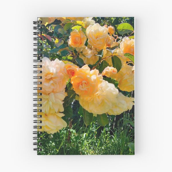 Item preview, Peaches and Cream Roses designed and sold by TeaFairy Art.