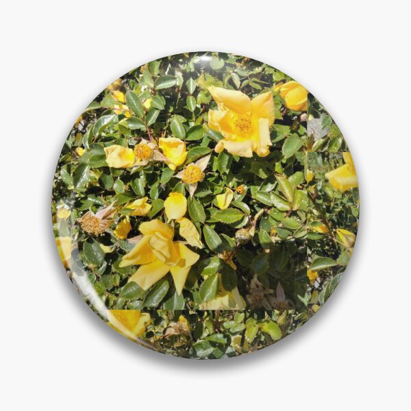 Item preview, Yellow Rose of Texas?  designed and sold by TeaFairy Art.