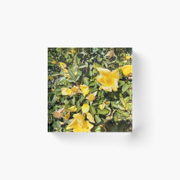 Item preview, Yellow Rose of Texas?  designed and sold by TeaFairy Art.