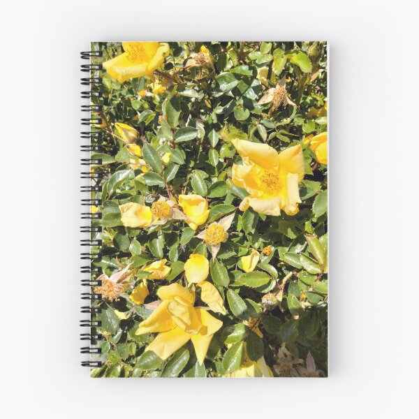 Item preview, Yellow Rose of Texas?  designed and sold by TeaFairy Art.
