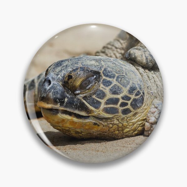 Item preview, Honu designed and sold by Alex Preiss.