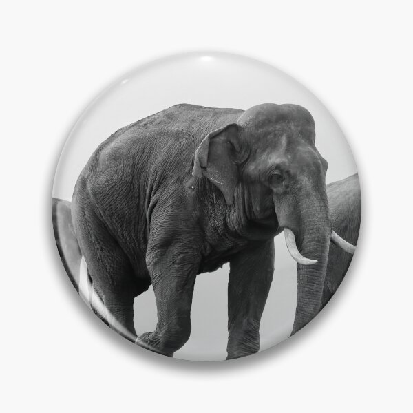 Item preview, Walk of the Giants - Asian Elephants  designed and sold by Soban Raj.