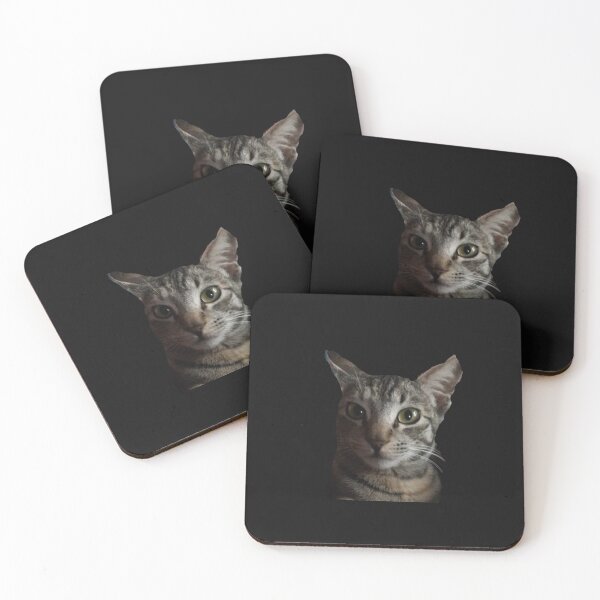 Item preview, COOL KITTY designed and sold by SAISHREE.