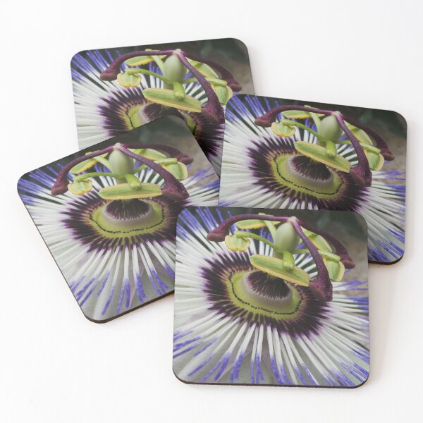 Item preview, Passion Flower designed and sold by GasconyPassion.