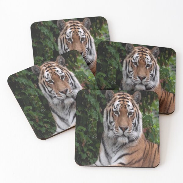 Item preview, tiger designed and sold by aliloveroyali.