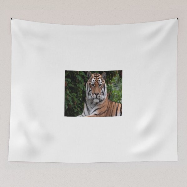 Item preview, tiger designed and sold by aliloveroyali.