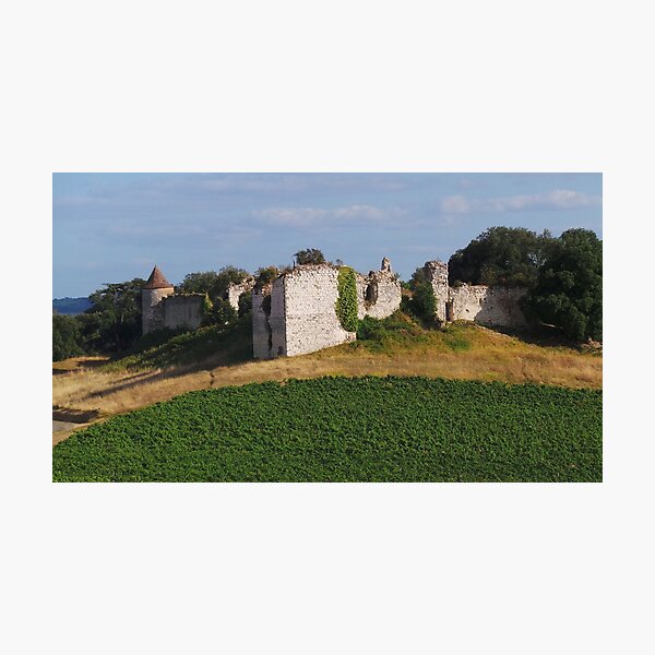 Item preview, French Chateau Ruins designed and sold by GasconyPassion.