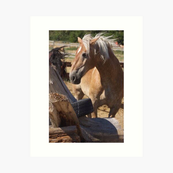 Bentley Art Print
