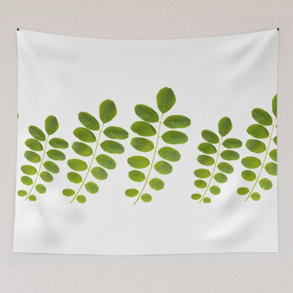 Item preview, Acacia leaf  designed and sold by Vhutolo.