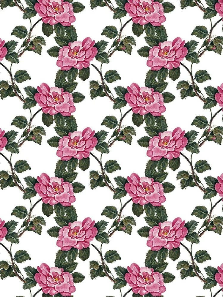 Thumbnail 5 of 5, iPhone Case, Beautiful Roses designed and sold by ArtistPlayStore.