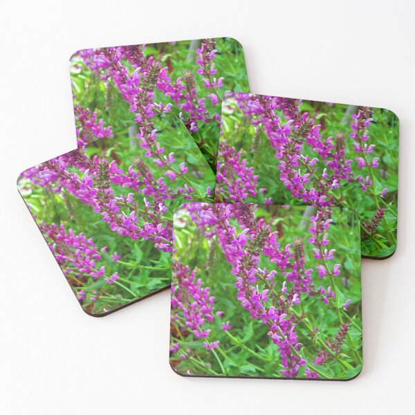 Item preview, Sweet Salvia designed and sold by DonnaM.