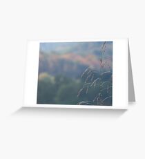 frailty Greeting Card