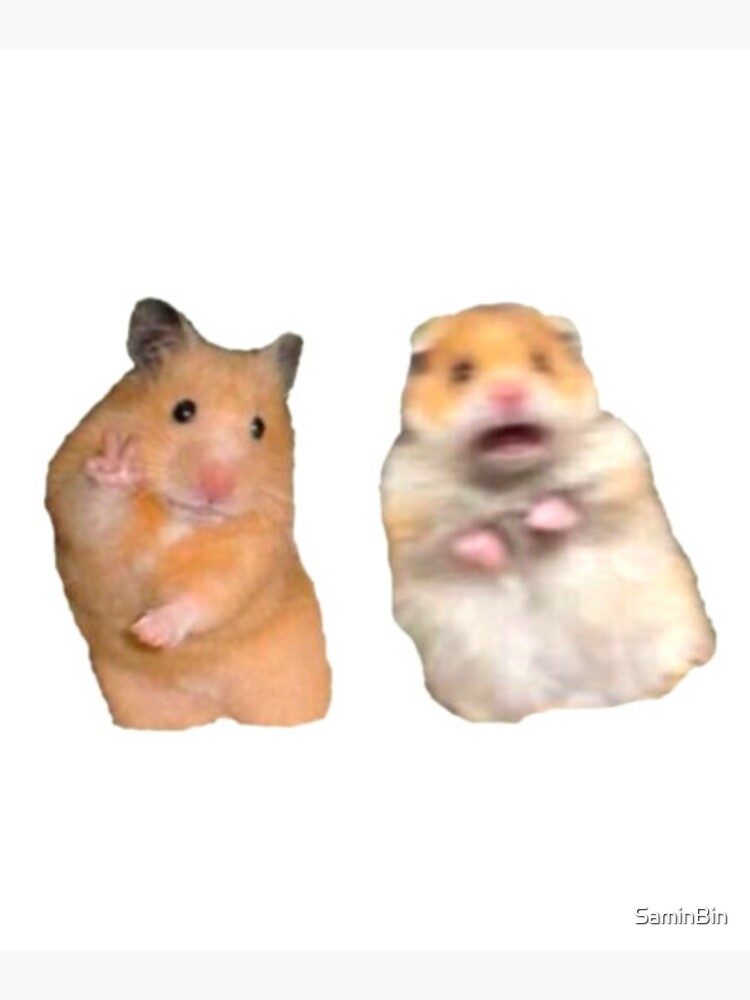 Life Is Better With A Hamsters Love Hamsters Digital Art by EQ