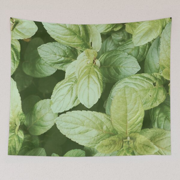 Item preview, Summer Mint Herb Kitchen Art designed and sold by BohoStudio.