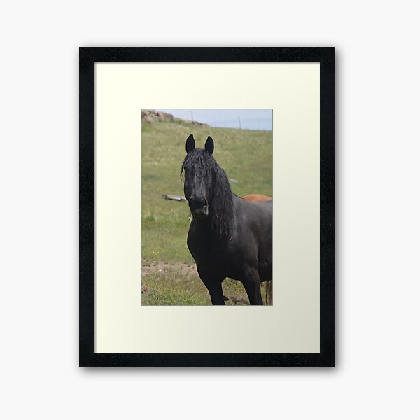 Aribella Framed Art Print