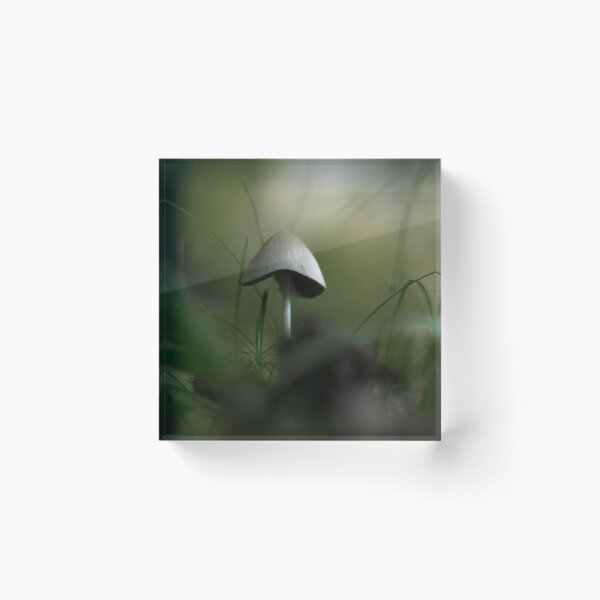 Item preview, Mushroom in the meadow designed and sold by bokehlein.