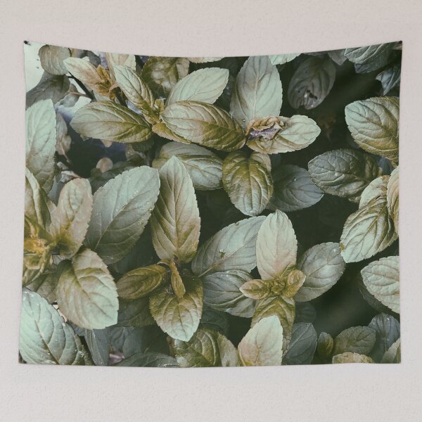 Item preview, Vintage Summer Mint Herb Kitchen Grainy Art Photography designed and sold by BohoStudio.