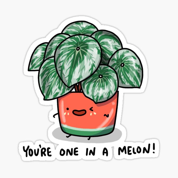 One in a Melon Watermelon Peperomia Plant Sticker